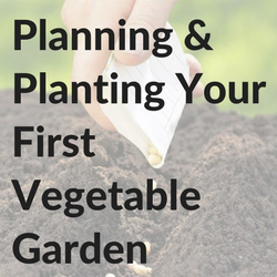 Planning & Planting Your First Vegetable Garden