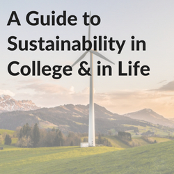 Sustainability in college and life