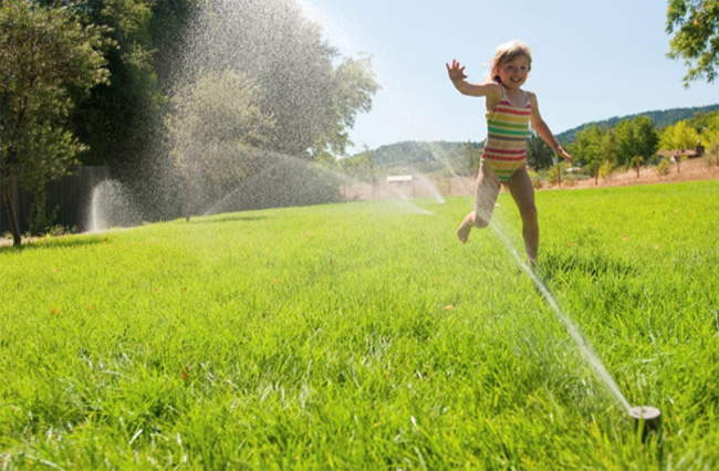 Save water with free Slow the Flow water efficiency Sprinkler Inspection