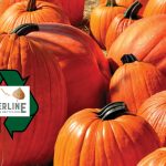 Free Summit County pumpkin recycling