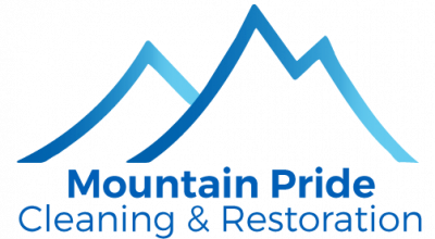 new-mtn-pride-cleaning-logo