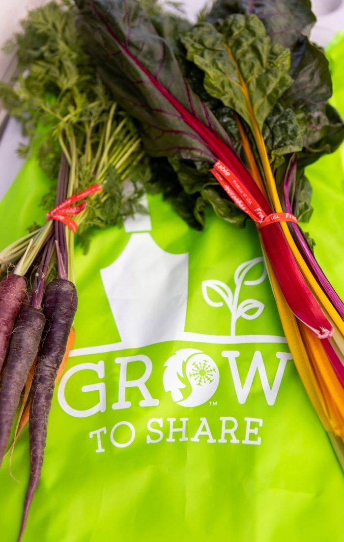 221006Summit CSA_KUSUMOTO007 (1)