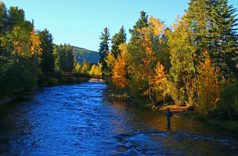 blue-river-fishing